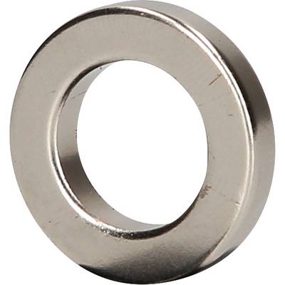 A silver, metallic ring or washer, highlighted against a white background.