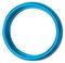 A round, blue ring against a white background.