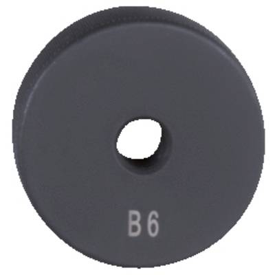 A round metal disc with a central opening, labelled 'B6'.