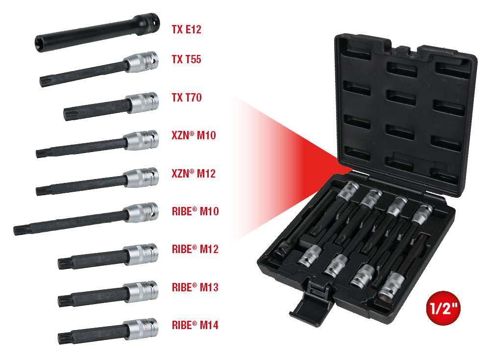 Screwdriver bit set with eight bits and a case. Contains various Torx and RIBE bits in different sizes.