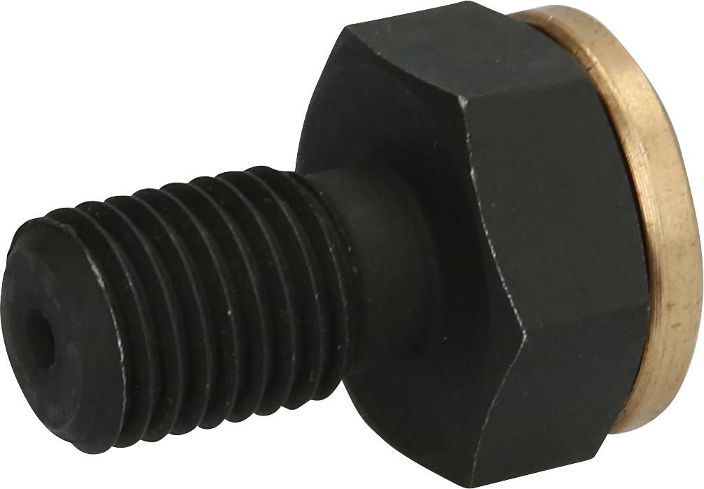 Black hexagonal screw with solid, round brass head.
