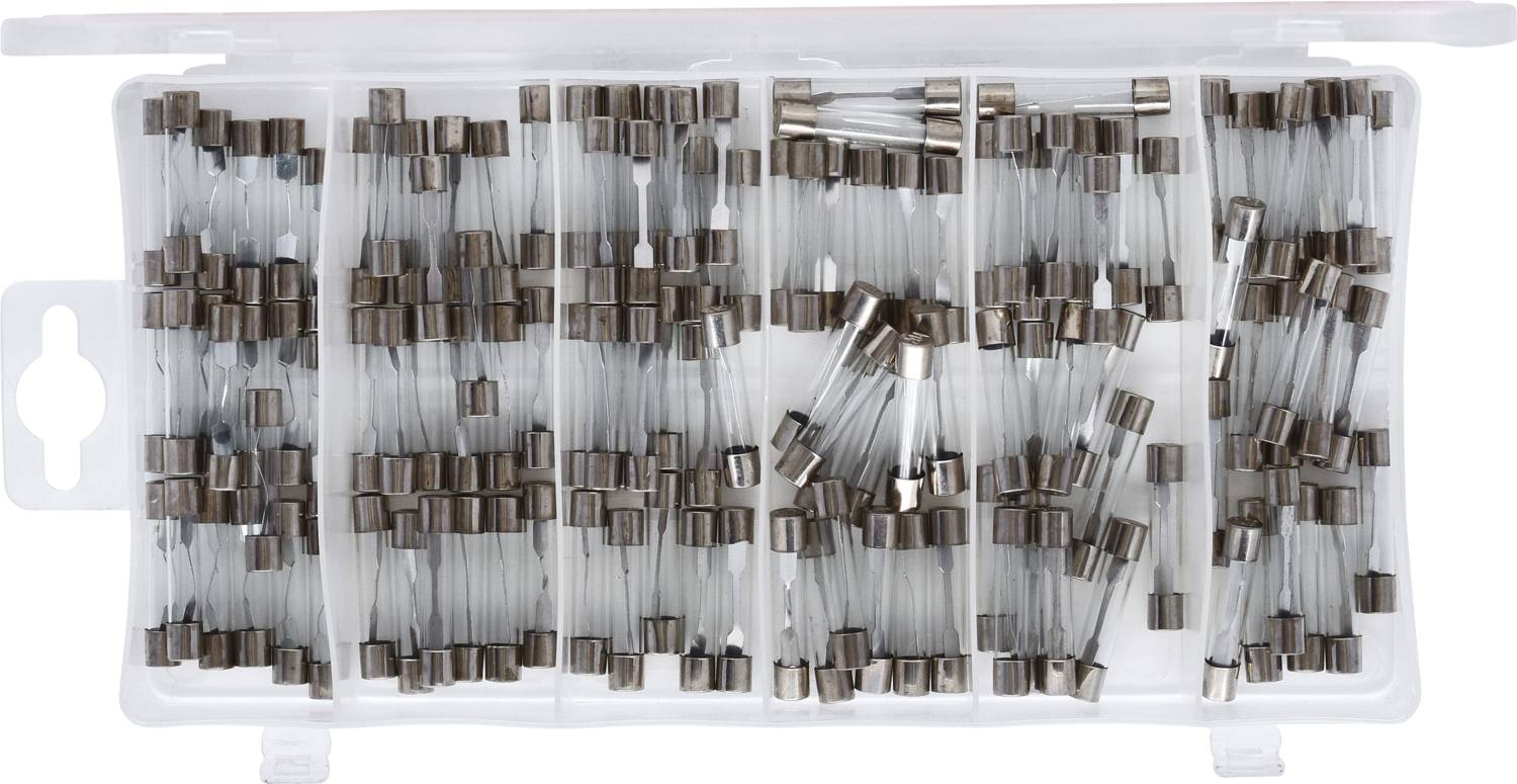 Clear plastic box containing numerous small electrical fuses.