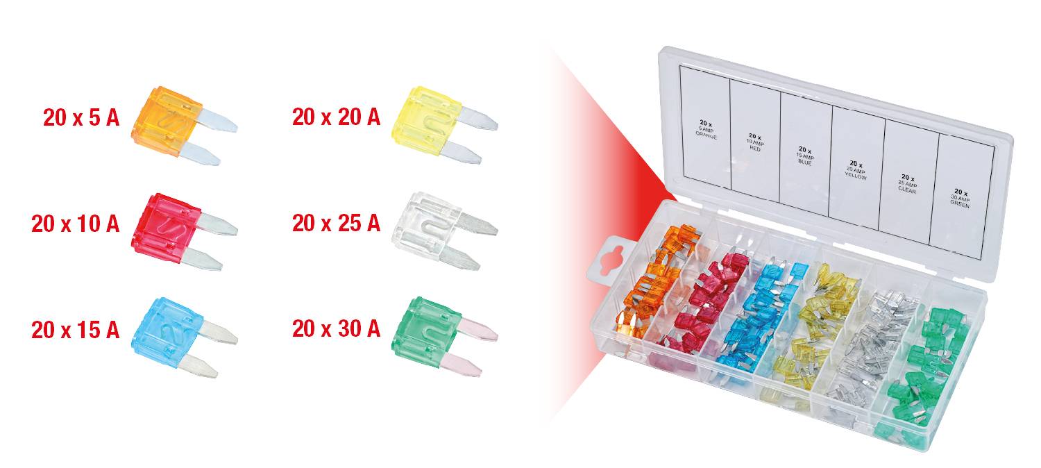 A set of automotive fuses in different colours, stored in a transparent organiser. Each colour represents a different amperage: 5 A (yellow), 10 A (red), 15 A (blue), 20 A (yellow), 25 A (white), 30 A (green).