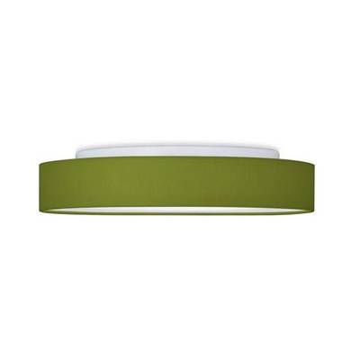 Green ceiling light with a simple, round design. Complements modern interior styles and provides even illumination.