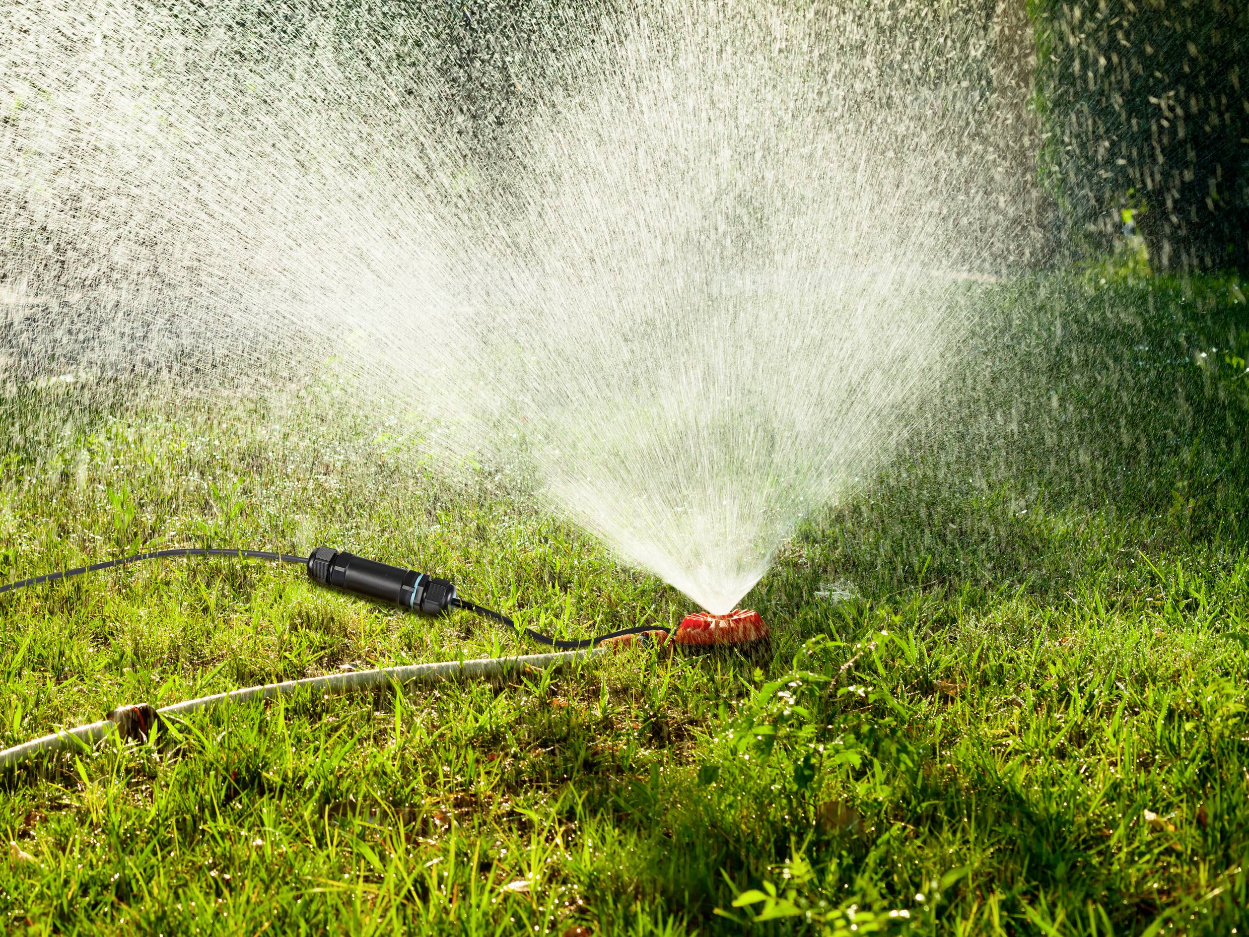 A garden sprinkler is watering a green lawn, water spraying in a wide arc under blazing sunlight.