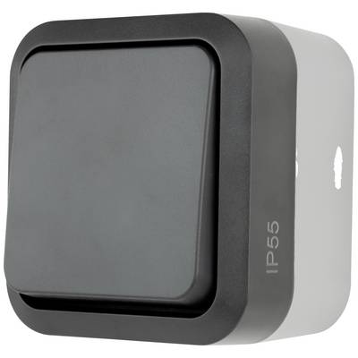 Grey square wall switch with a black border, IP55 rating marked on the side, suitable for outdoor use.