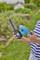 A person is holding a blue, battery-powered hedge trimmer; with blurred garden vegetation in the background.