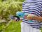 A person in a striped shirt is holding a blue electric lawn edger in the garden. The device is being prepared for garden work.