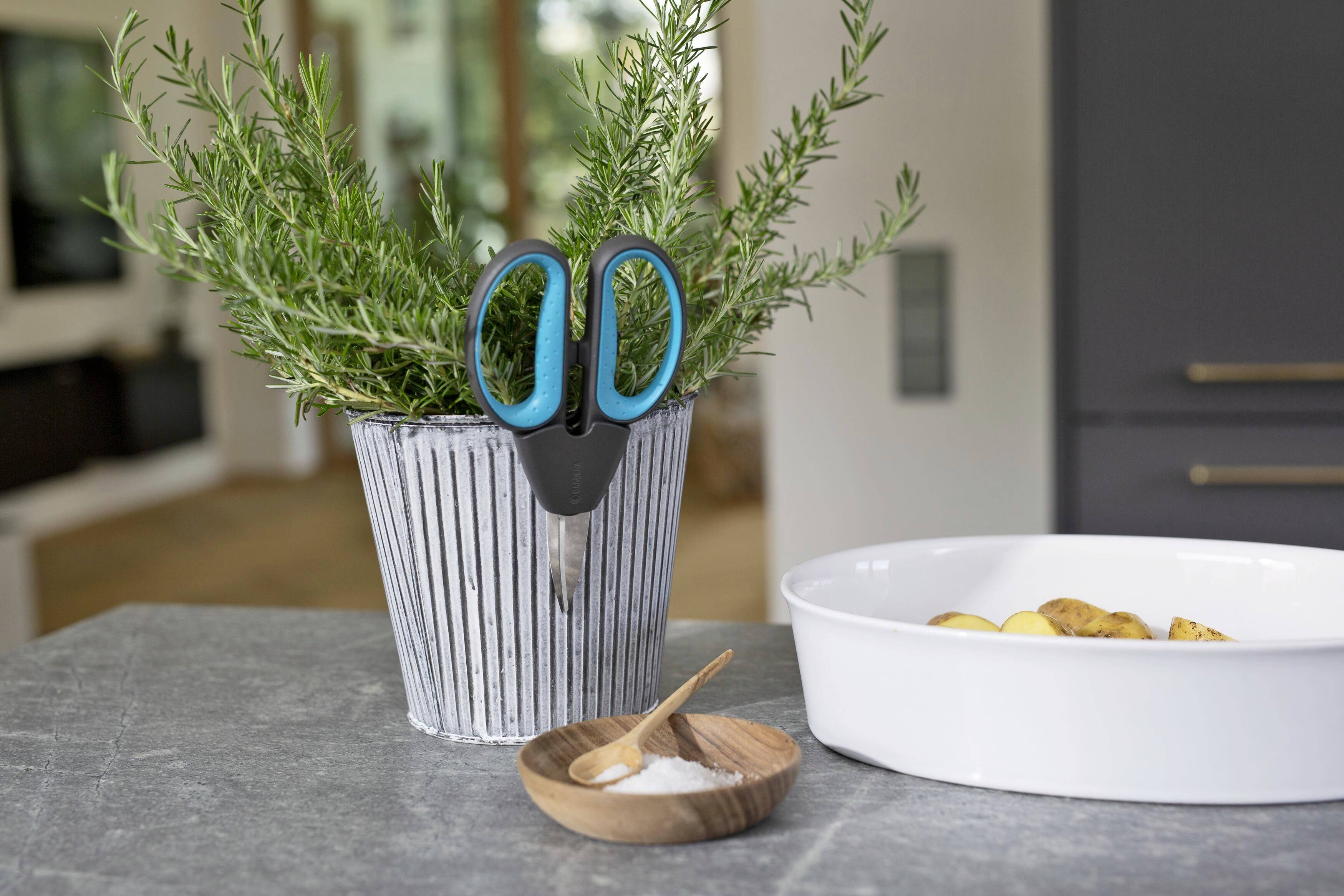 A potted plant with scissors stuck in its branches, a bowl of potatoes, and a small wooden dish of salt on the table.