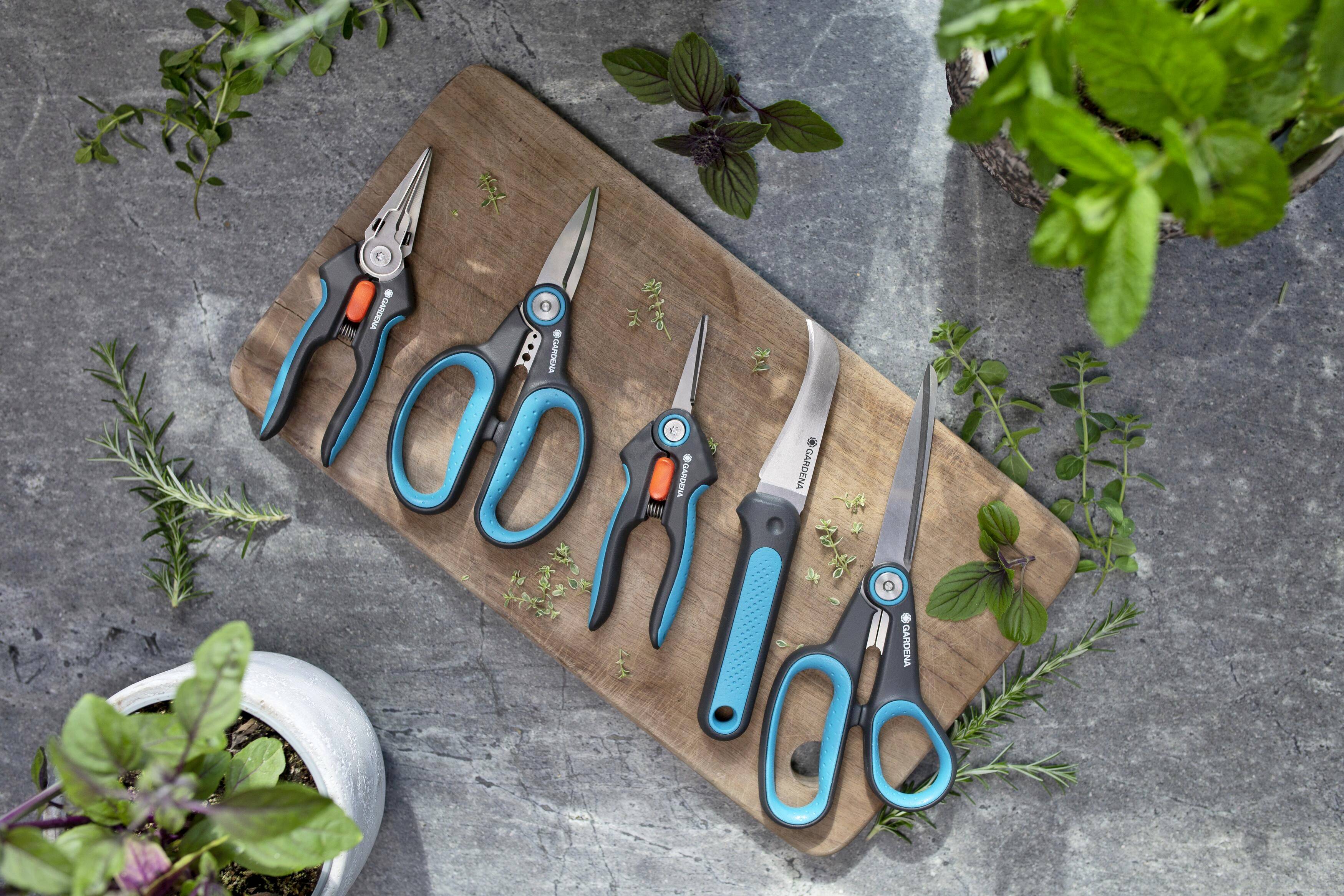 Six different garden secateurs with blue handles lie on a wooden board, surrounded by herbs on a stone surface.