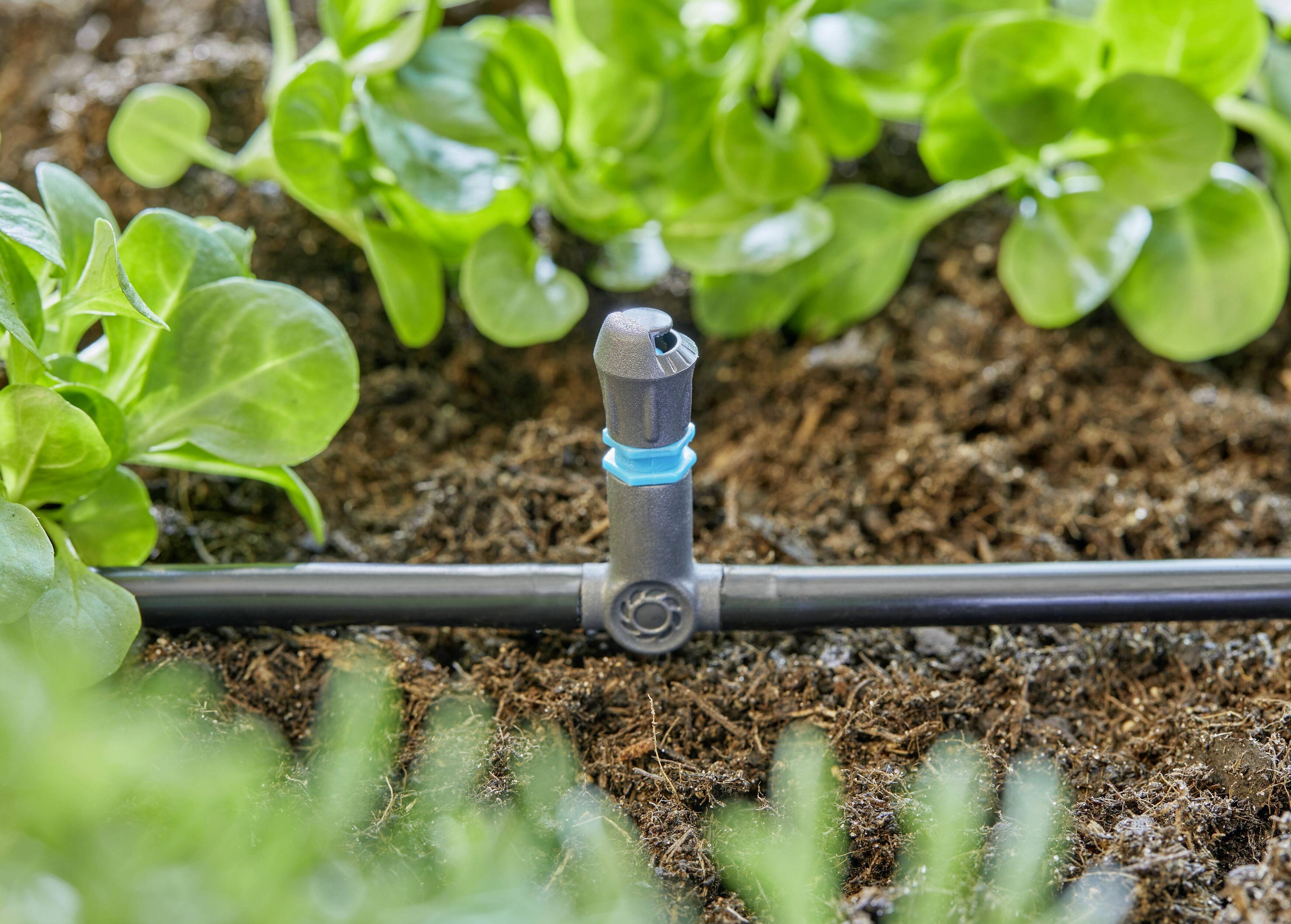 Irrigation system with drippers in a garden bed, surrounded by green plants. System for efficient water distribution.