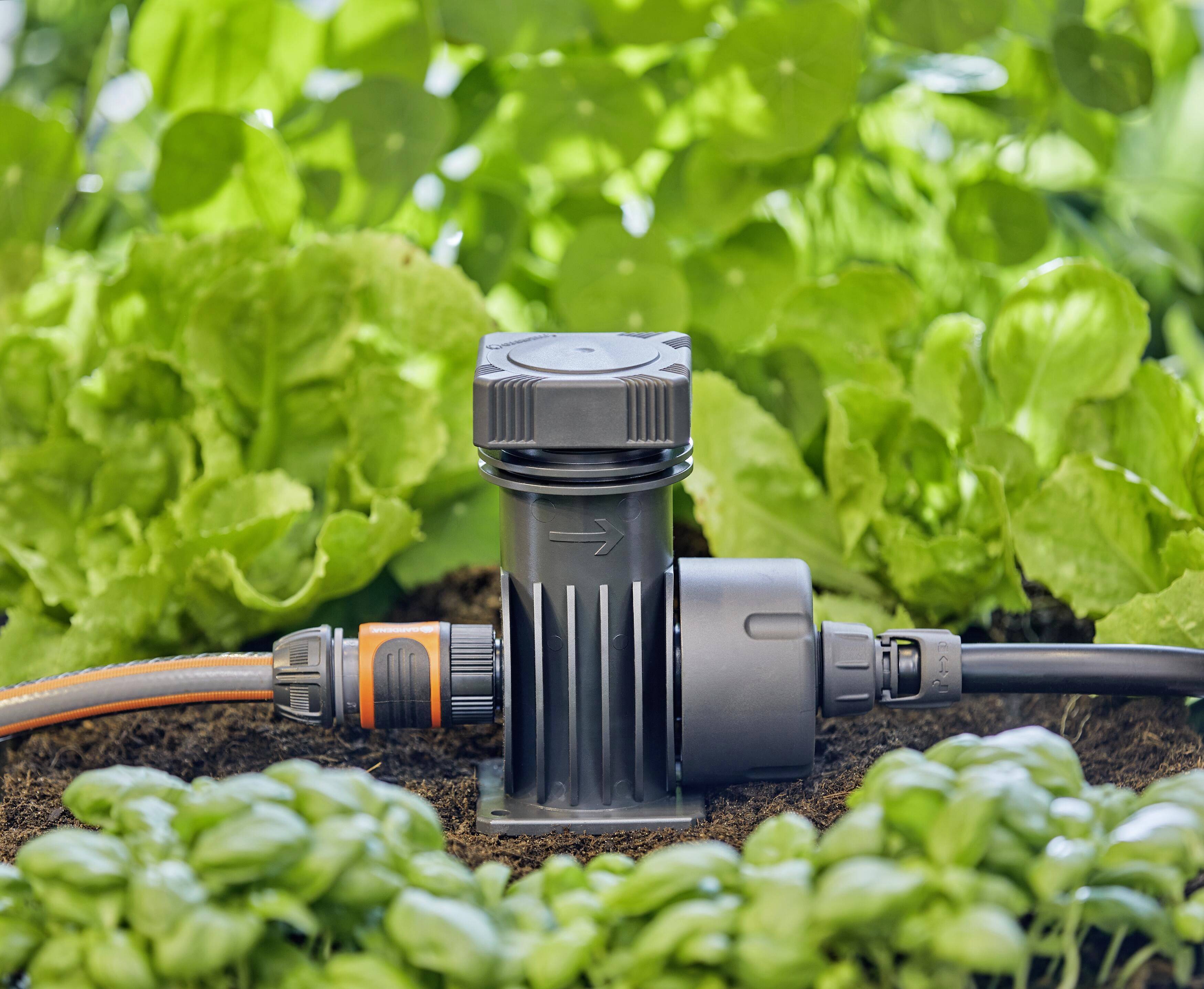 An irrigation valve in a garden, surrounded by various green plants. The valve is made of black plastic with attached hoses.