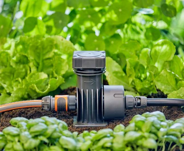 A garden irrigation system showing a plastic valve and hose amidst green plants, highlighting efficient watering setup in greenery.
