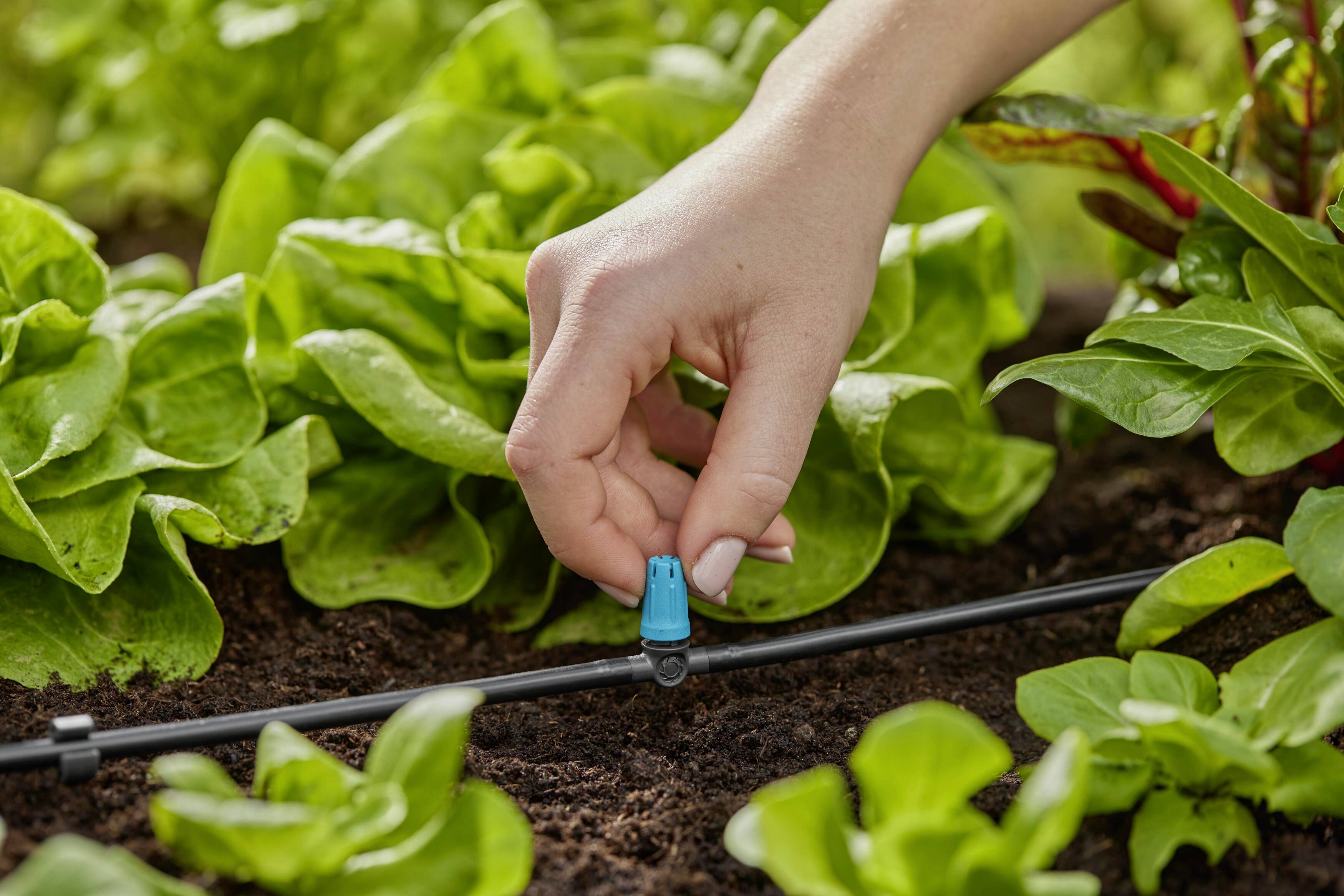 GARDENA Micro-Drip-System 13316-20 Small area nozzle 4.6 mm (3/16")-3