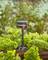 A compact sprinkler with a black and orange design is positioned among lush green plants in a garden, providing irrigation.