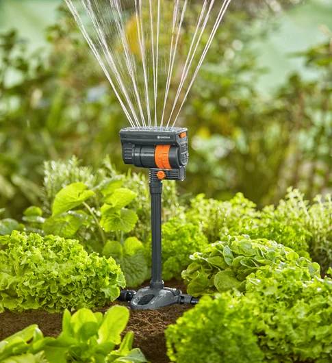 A garden sprinkler watering a lush vegetable patch, featuring lettuce and herbs, under natural sunlight.