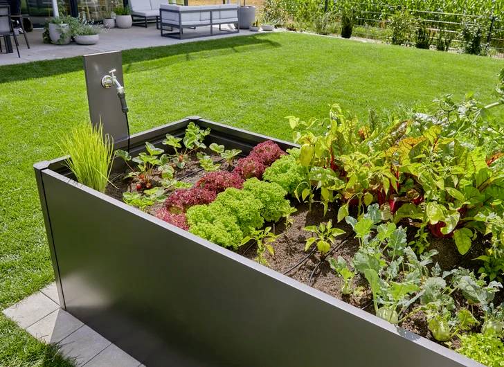 A raised garden bed with a metal frame contains leafy greens, herbs, and vegetables. A nearby faucet is installed for easy watering.