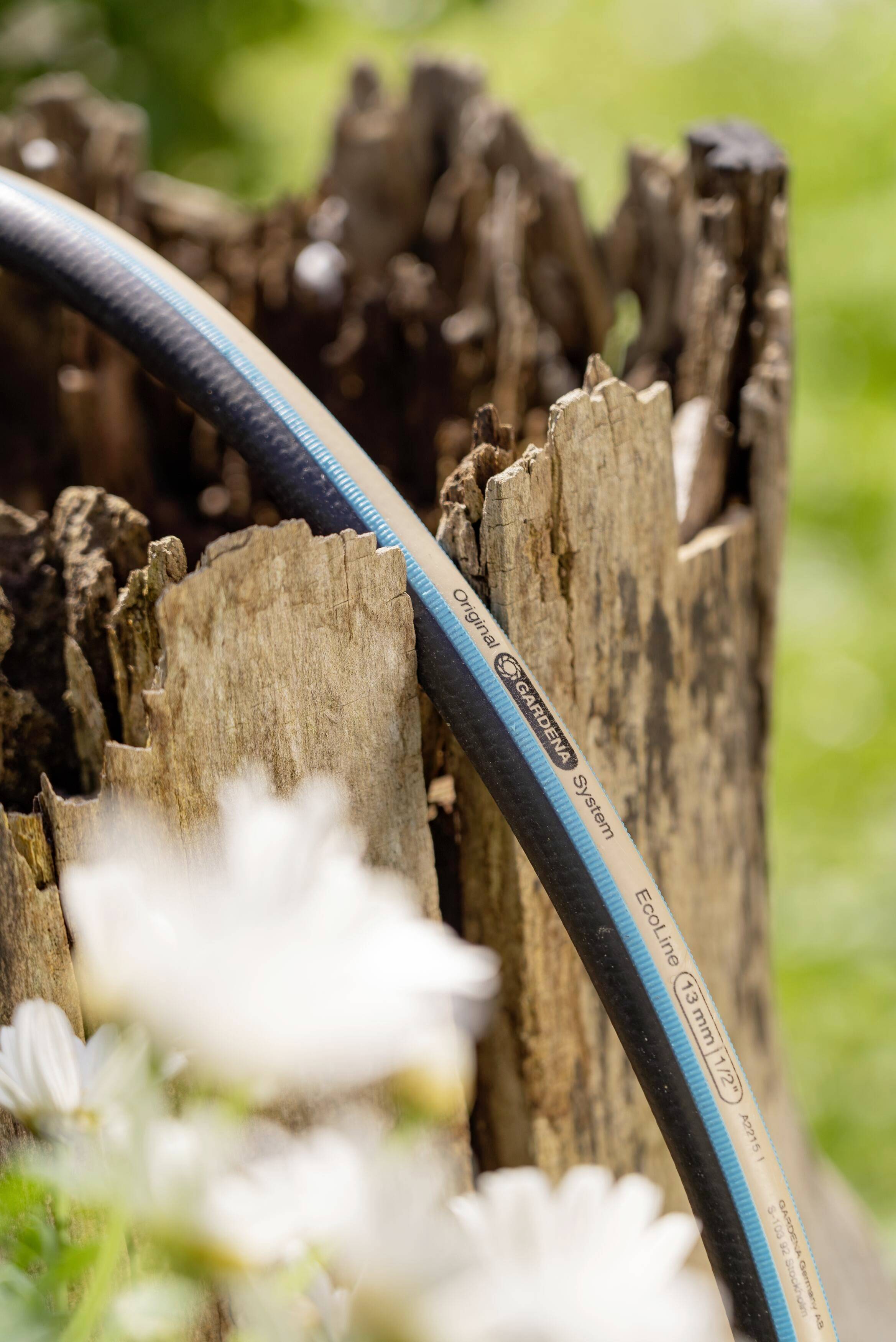 A hosepipe lies on an old tree stump, surrounded by blurred white flowers in the foreground and a green background.