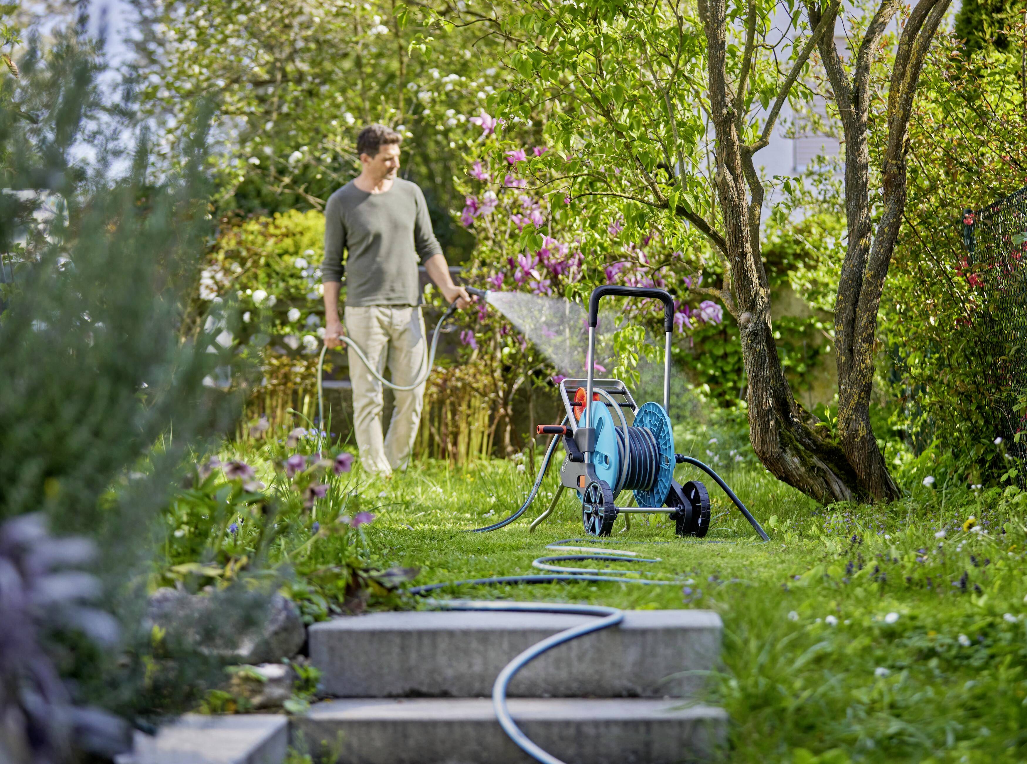 A man is watering a garden with a hosepipe next to flowering shrubs and a tree. A hose reel is visible in the foreground.