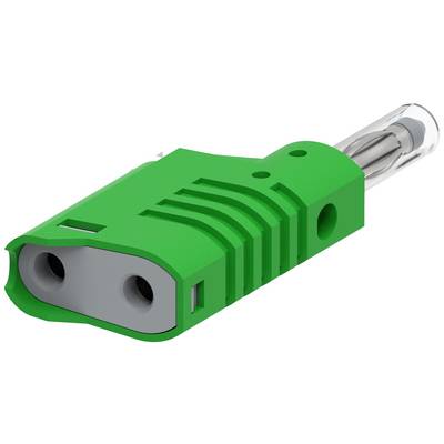 A green electrical connector with two sockets and a transparent housing for the plug contacts.