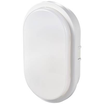 White oval LED light for interior use, with a minimalist design and rounded edges, suitable for wall or ceiling mounting.