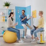 Leitz ergo Cozy ball seat