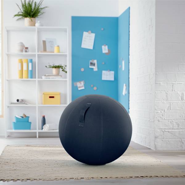 A bright, modern room with a black exercise ball in the foreground. In the background, a shelving unit with plants and books.
