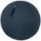A large, dark blue exercise ball with a side handle is suitable for sitting or fitness exercises.
