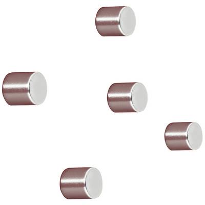 Five cylindrical magnets evenly distributed on a white background, reflecting light and showing different perspectives.