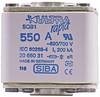 Jumo 00371964 IC protector fuse 1 pc(s)
