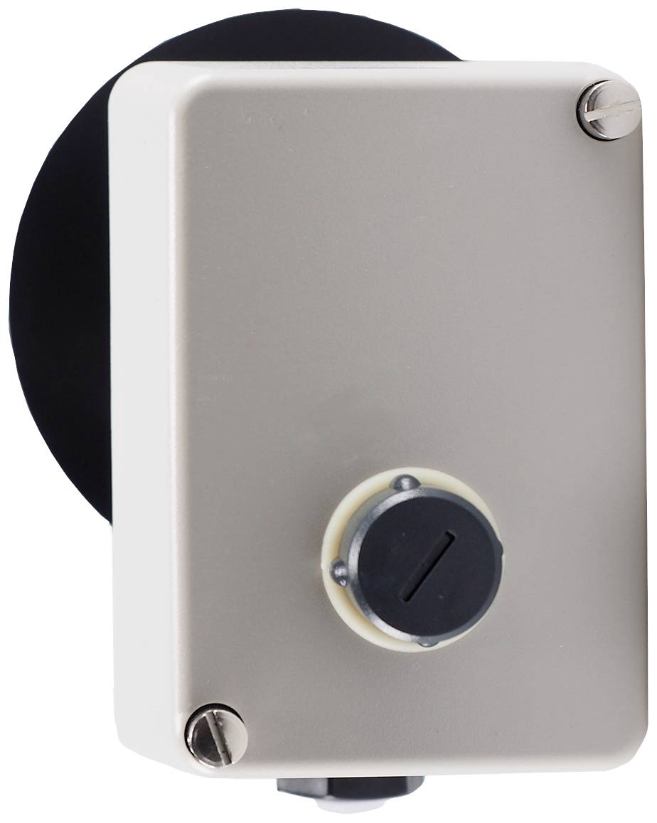 Jumo 60002218 Temperature limiter