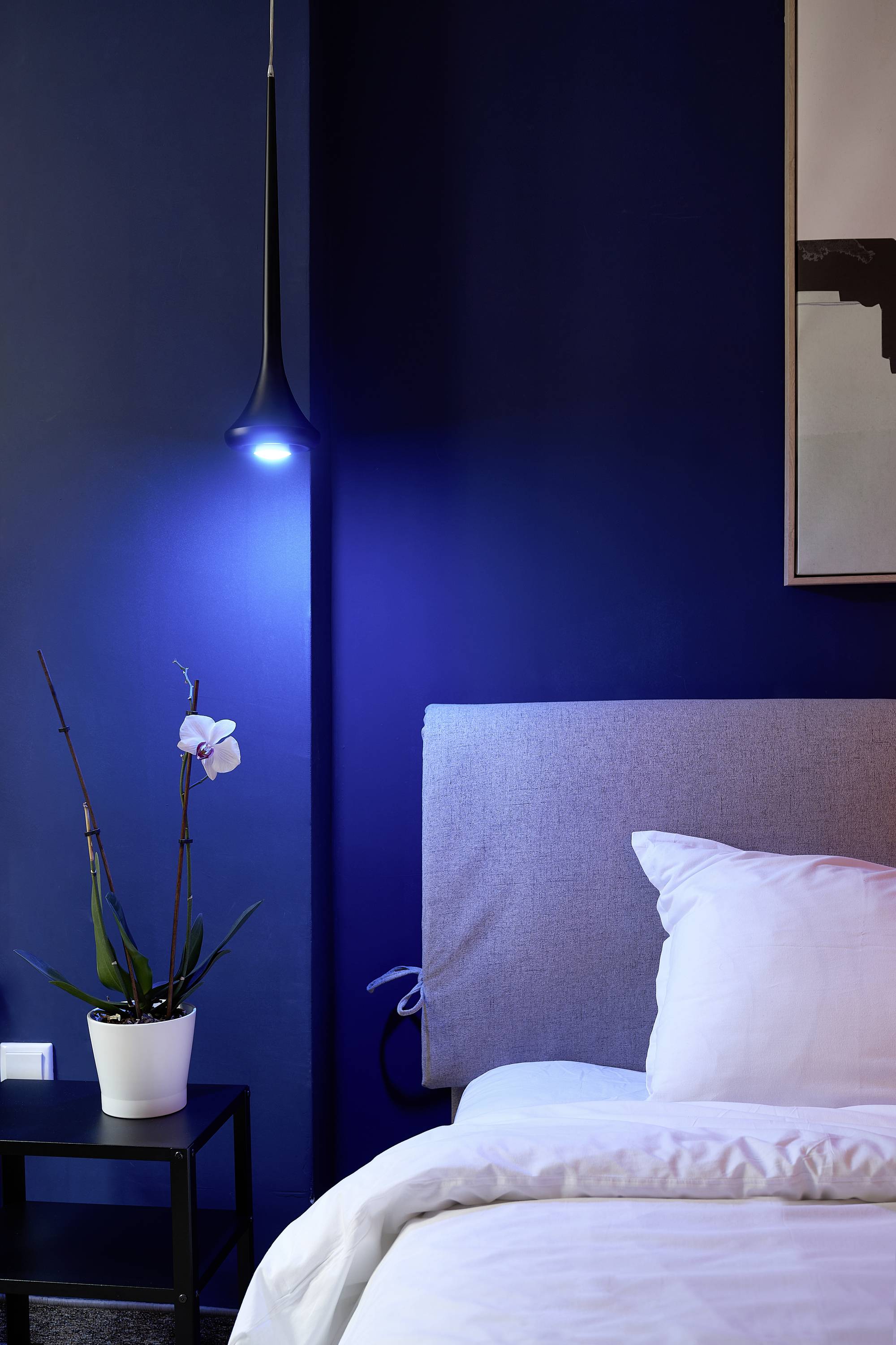 A modern bedroom with a dark blue wall, a grey-upholstered headboard and a bright hanging lamp. An orchid on the bedside table.