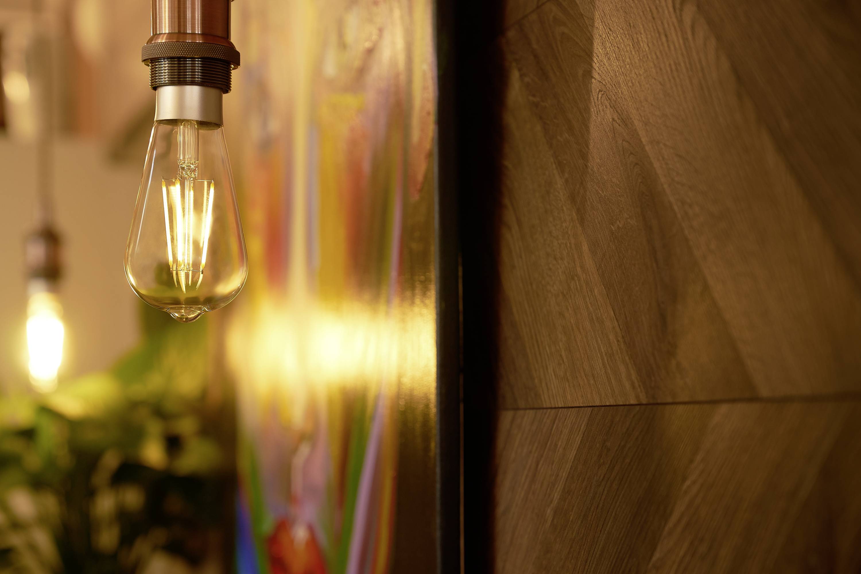 A light bulb hangs in front of an abstract, colourful wall painting. Blurred plants can be seen in the background.