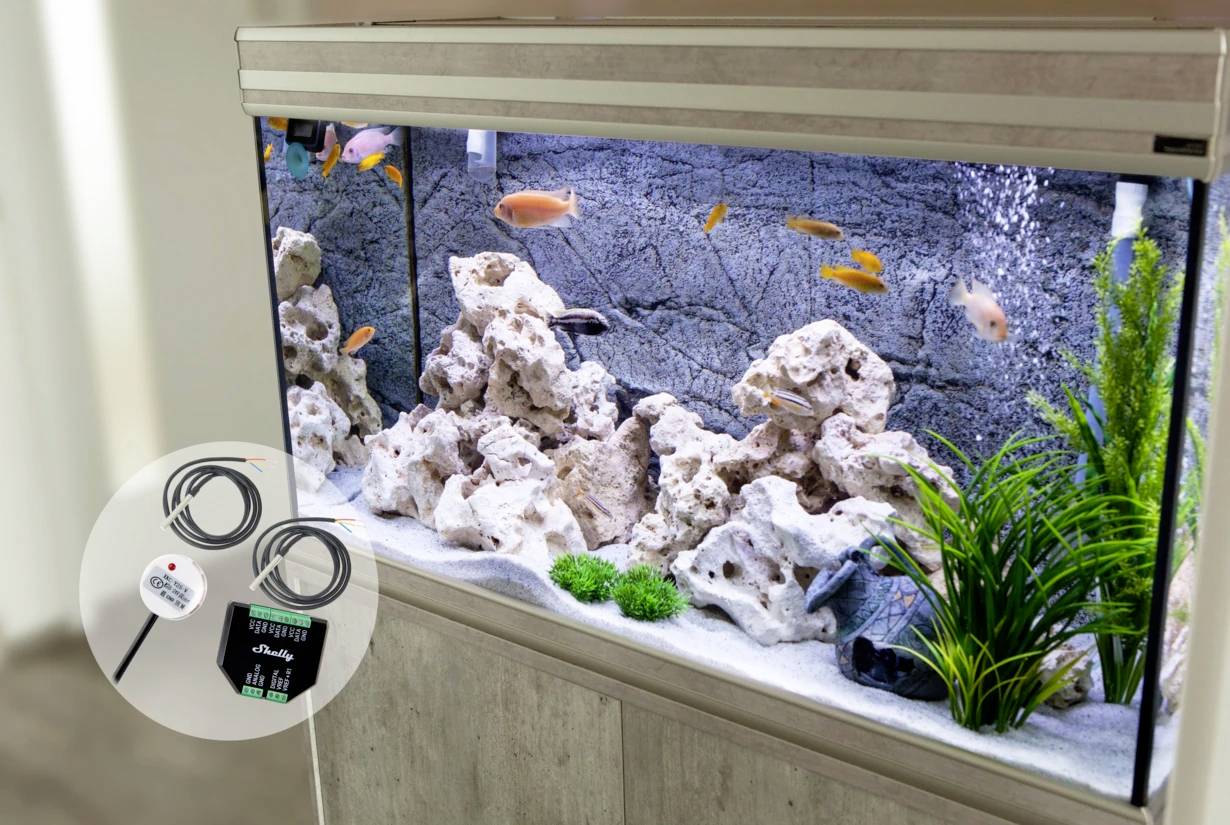 An aquarium with rocks, plants, and colourful fish. In the foreground, a temperature and humidity gauge displaying readings.