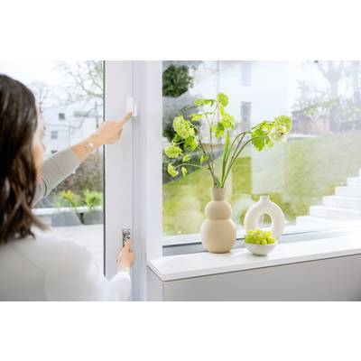 A person opens a window; on the windowsill stands a vase with flowers and a bowl of green fruits.