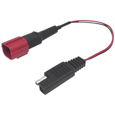 A black and a red coupling cable with connectors. The cable connects electronic devices to one another.