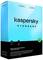The packaging of 'Kaspersky Standard' displays security and performance information for PCs and mobile devices with a one-year licence for five devices.