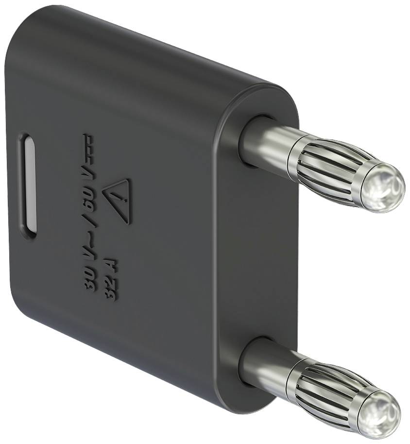 A black travel adapter plug with two silver pins and embossed technical specifications.