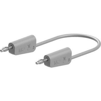 Grey security cable lock with two ends, one with a security pin and the other with a locking mechanism, on a white background.