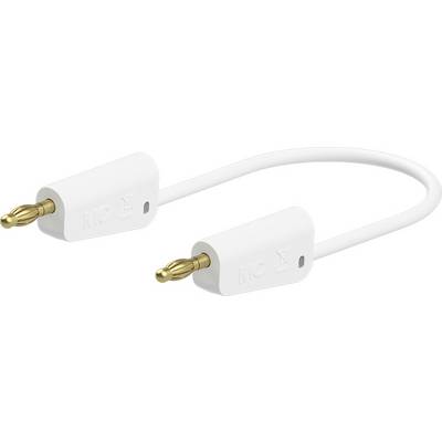 A white audio cable with two gold-plated connectors at each end, used for transmitting audio signals between devices.