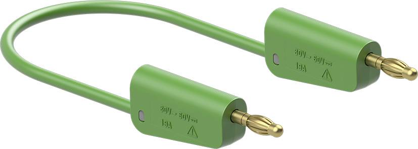 Green electrical cable with two plugs, suitable for 600 volts and up to 15 amperes, with CE marking, in a U-shape.