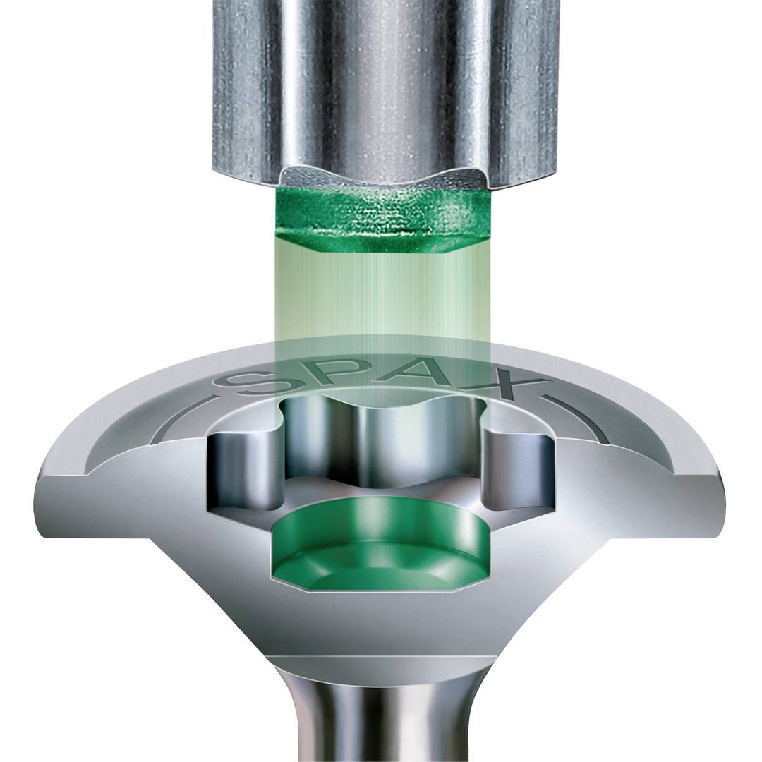 A screw head with a special internal hexalobular profile that a matching screwdriver fits precisely into.