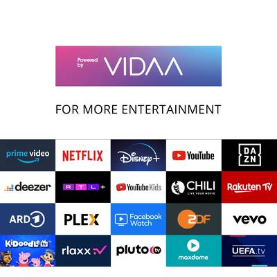 'Powered by VIDAA: For more entertainment'. Logos of streaming services such as Prime Video, Netflix, Disney+, YouTube and others are displayed.