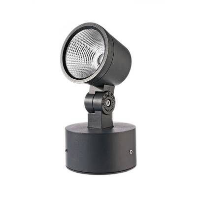 A black, cylindrical LED spotlight with an adjustable head for targeted illumination, shown against a white background.