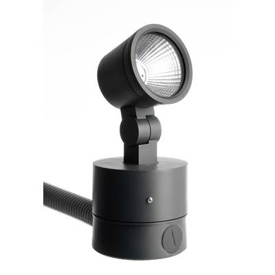 Black LED spotlight with adjustable head, mounted on a circular base. Suitable for directional lighting.