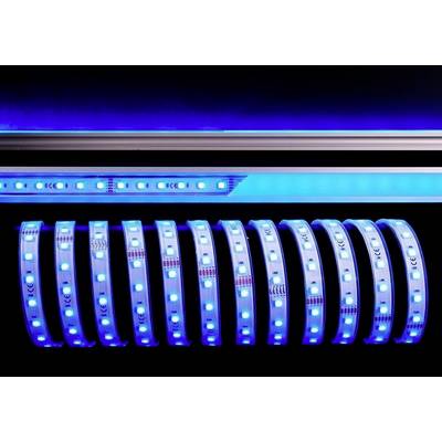 Light strips with blue LED light against a dark background, showing modern lighting technology.