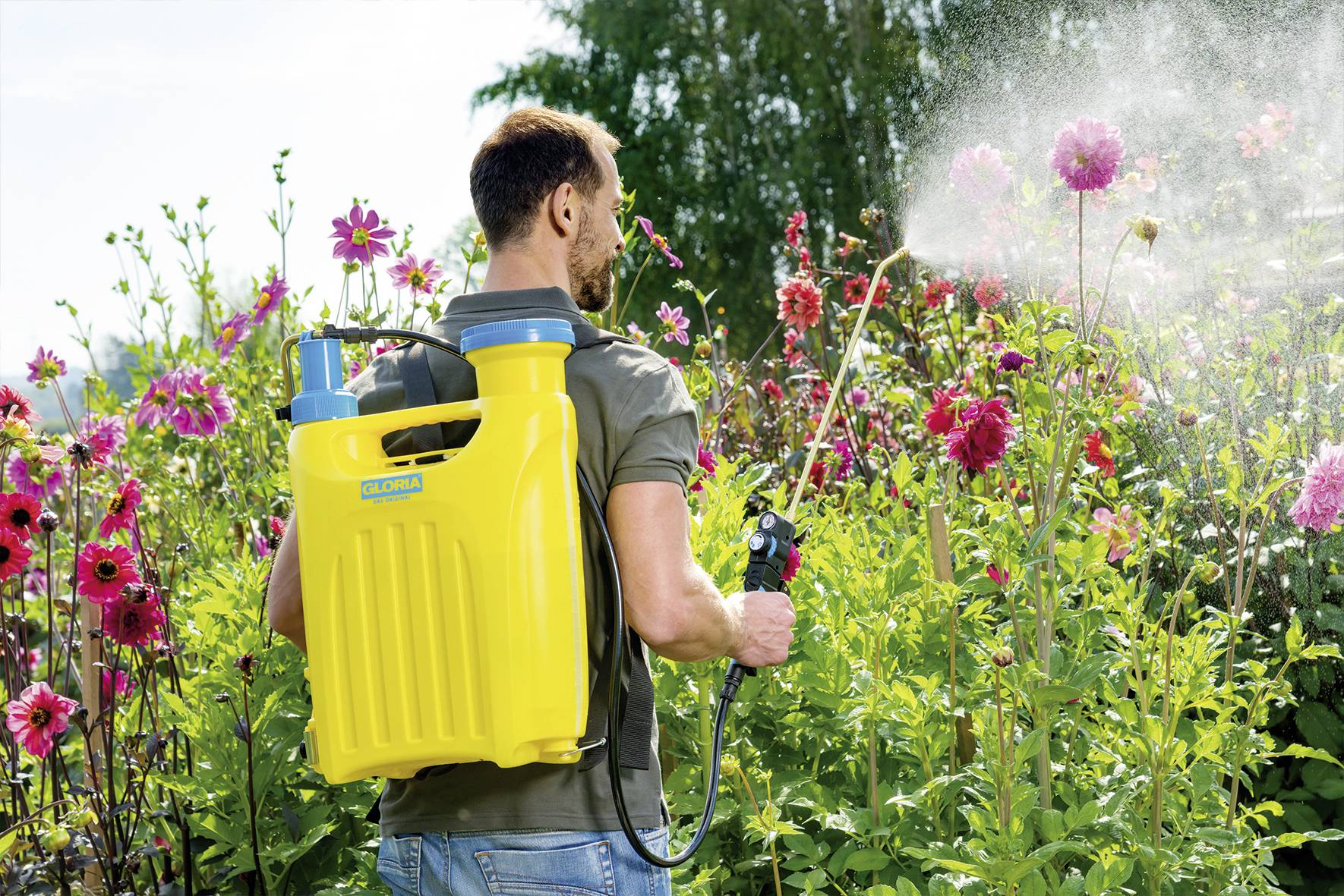 A man is spraying water with a yellow backpack sprayer onto blooming pink flowers in a garden.