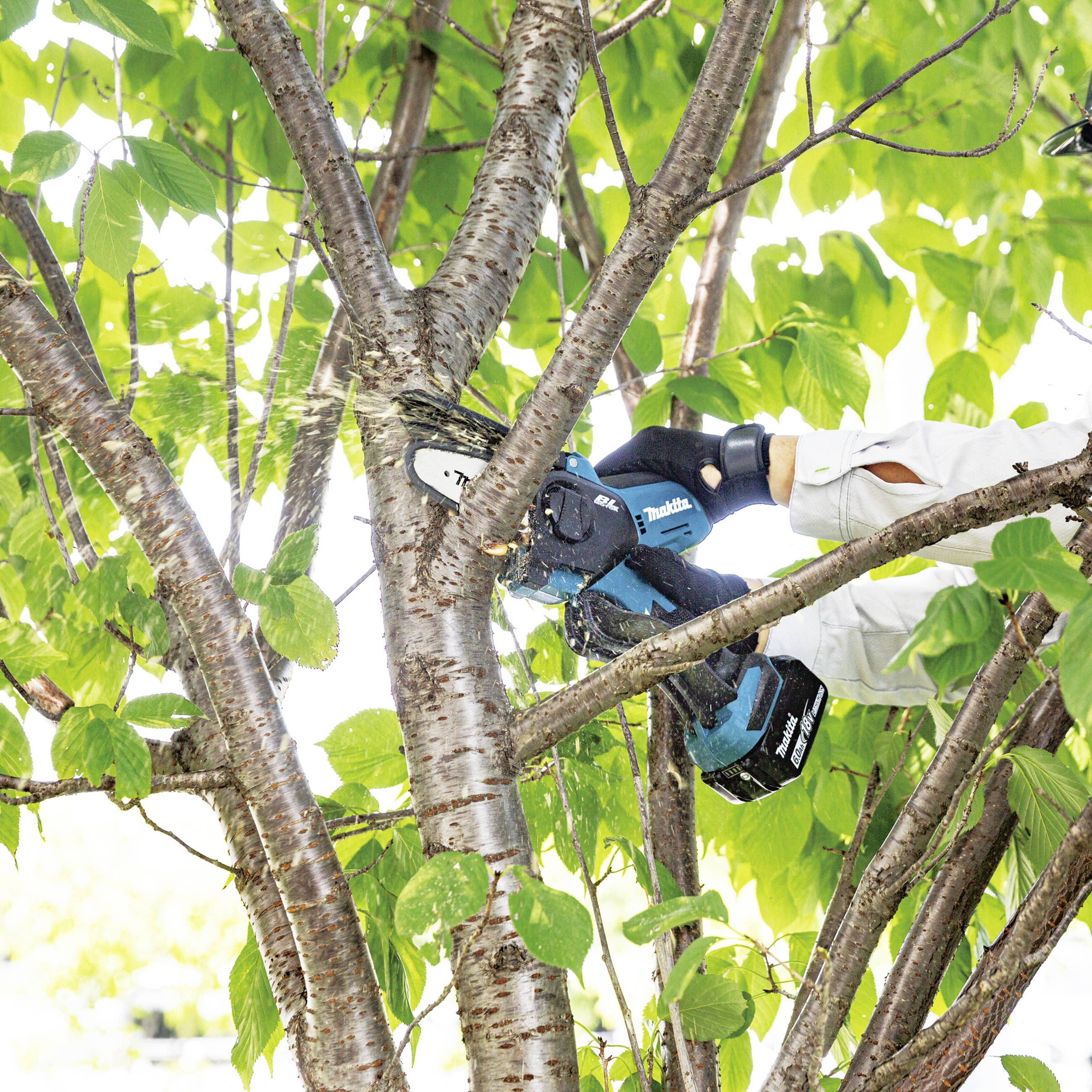 A person is sawing a branch off a tree with a blue electric saw, surrounded by green leaves. The activity is emphasised.