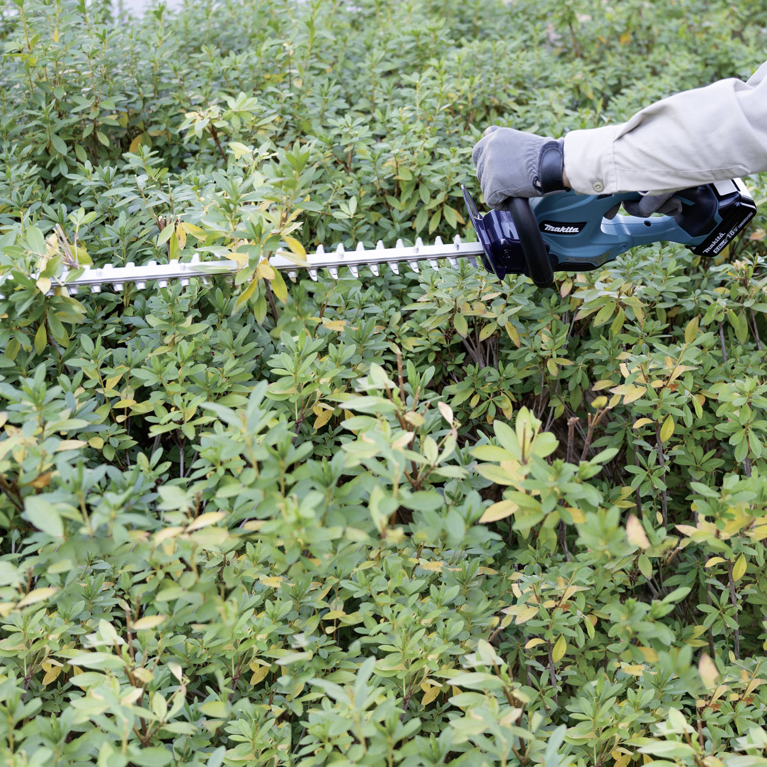 A gardener is trimming hedges with an electric hedge trimmer. The trimmer has a green handle, and the hedges are dense and green.