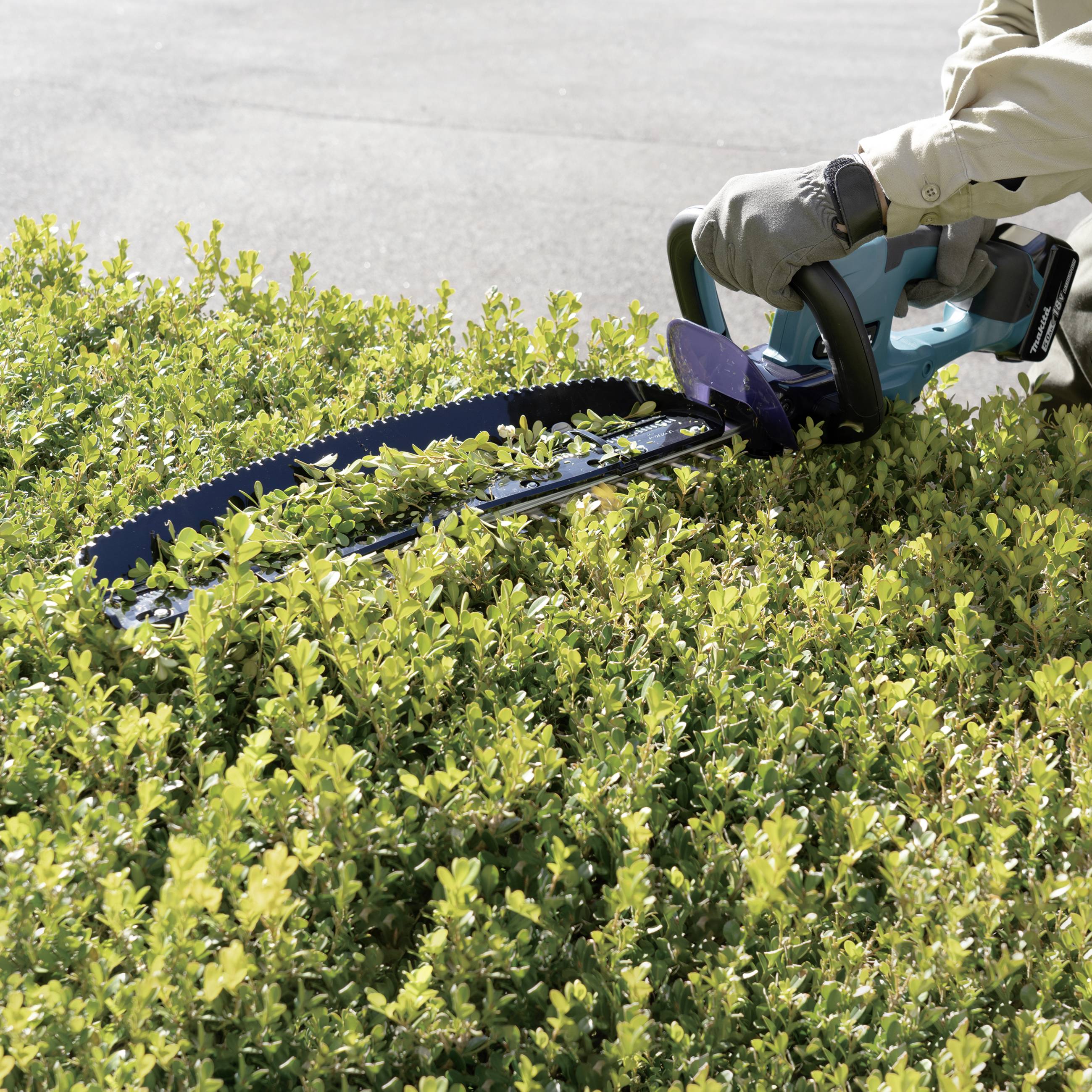 A person is trimming green bushes with an electric hedge trimmer.